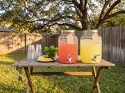 Two glass drink dispensers, one pink and one lemonade, on a weathered folding table with cups, mint and berries