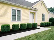 Yellow-sided house with a row of identical trimmed boxwoods along the foundation in fresh black mulch