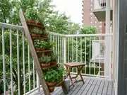 Leaning wooden ladder shelf holding five tiers of terracotta herb pots beside a folding stool and watering can