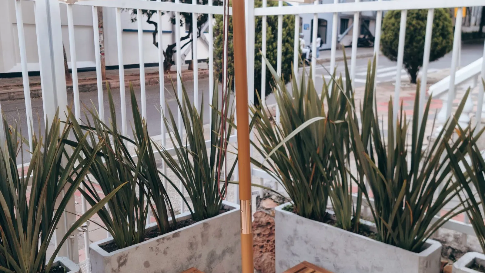 A wooden bench flanked by two concrete planters with tall potted plants under a patio umbrella