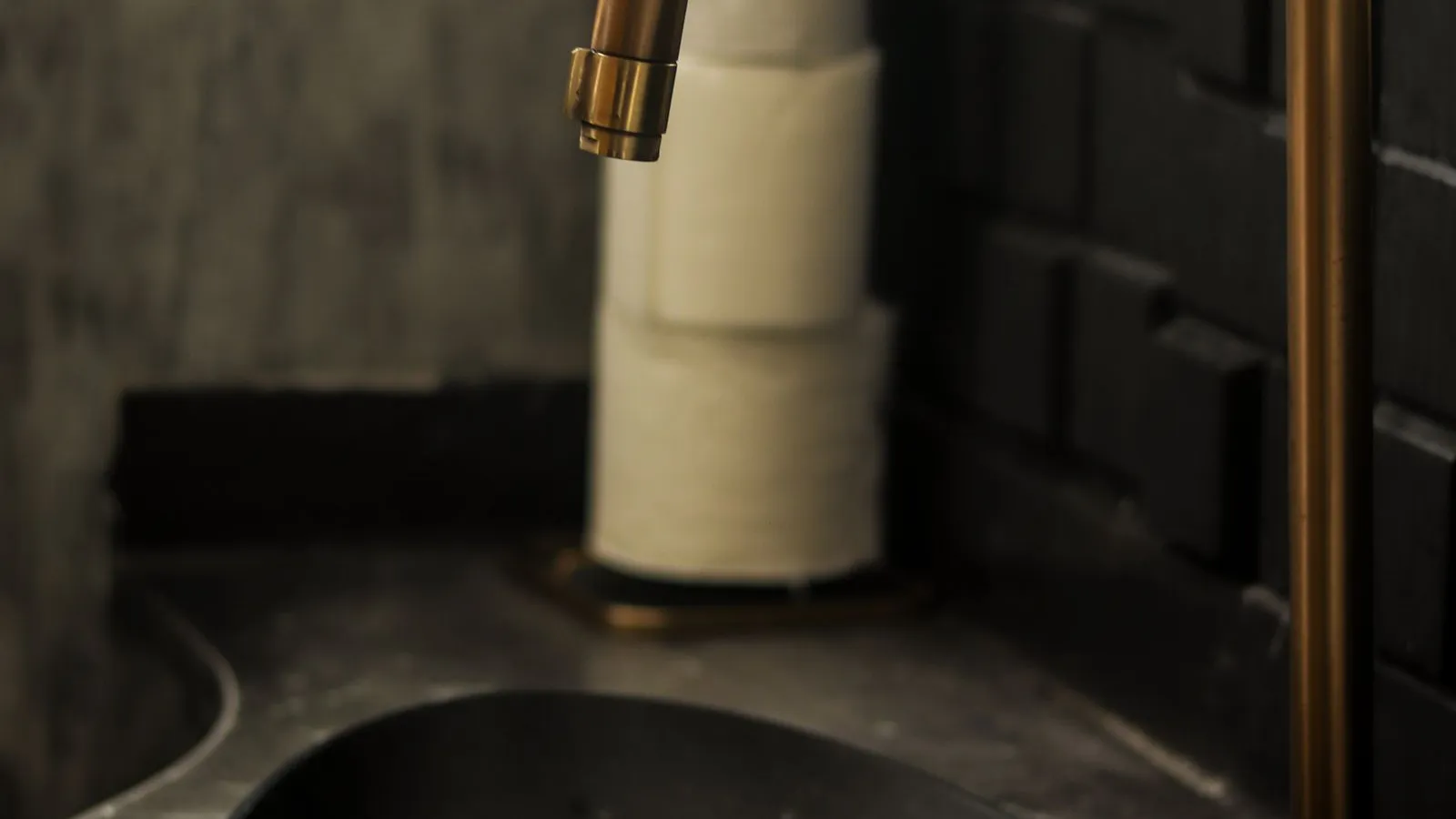 A close-up of a brass gooseneck faucet over a black stone sink basin, with a toilet paper holder in the background