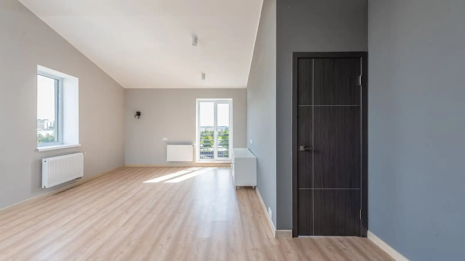 An empty apartment room with wood flooring and a dark interior door, the kind of open floor plan a temporary wall would divide