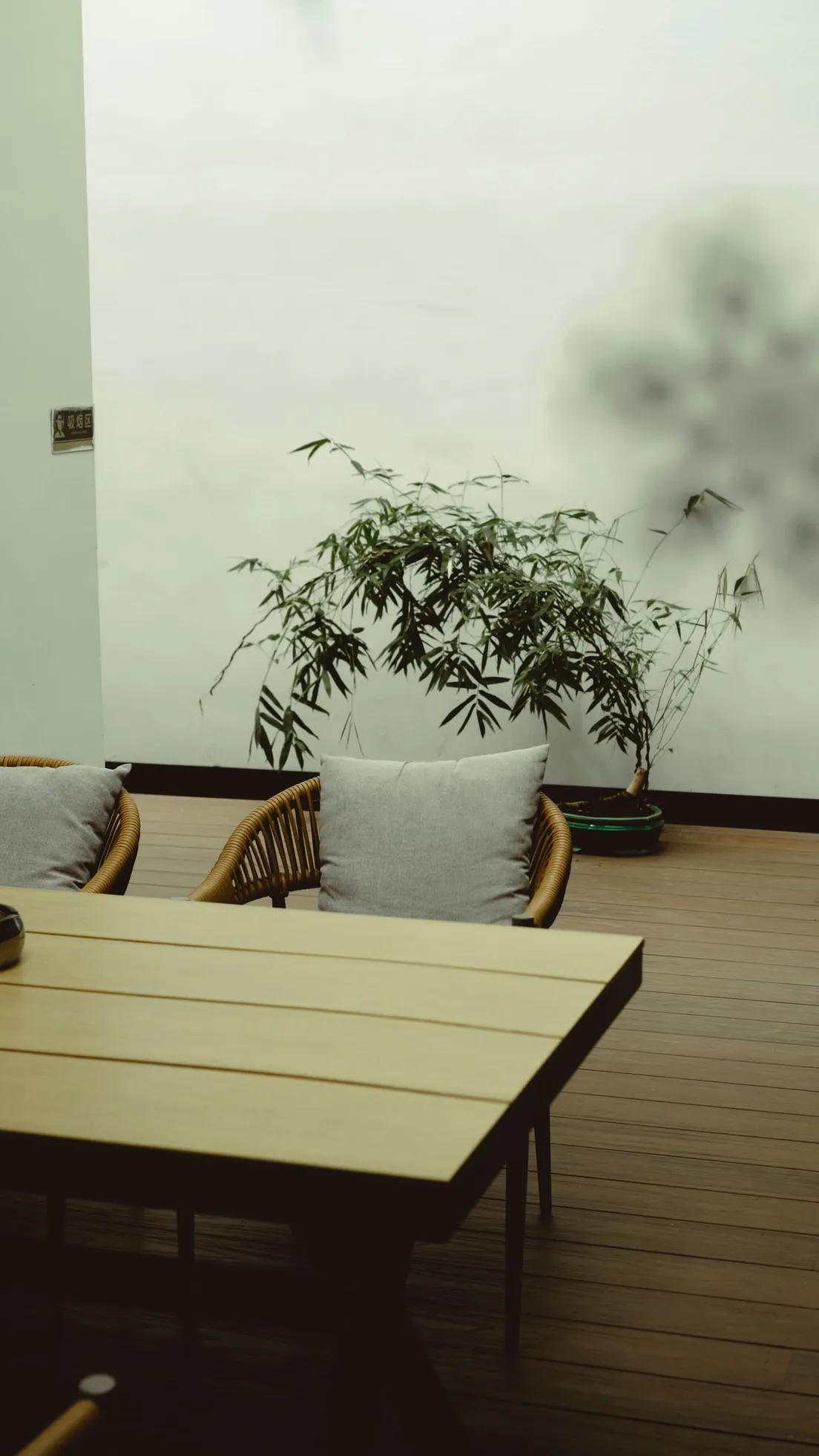 A minimalist patio with two woven chairs, gray cushions, and one potted bamboo plant against a plain wall