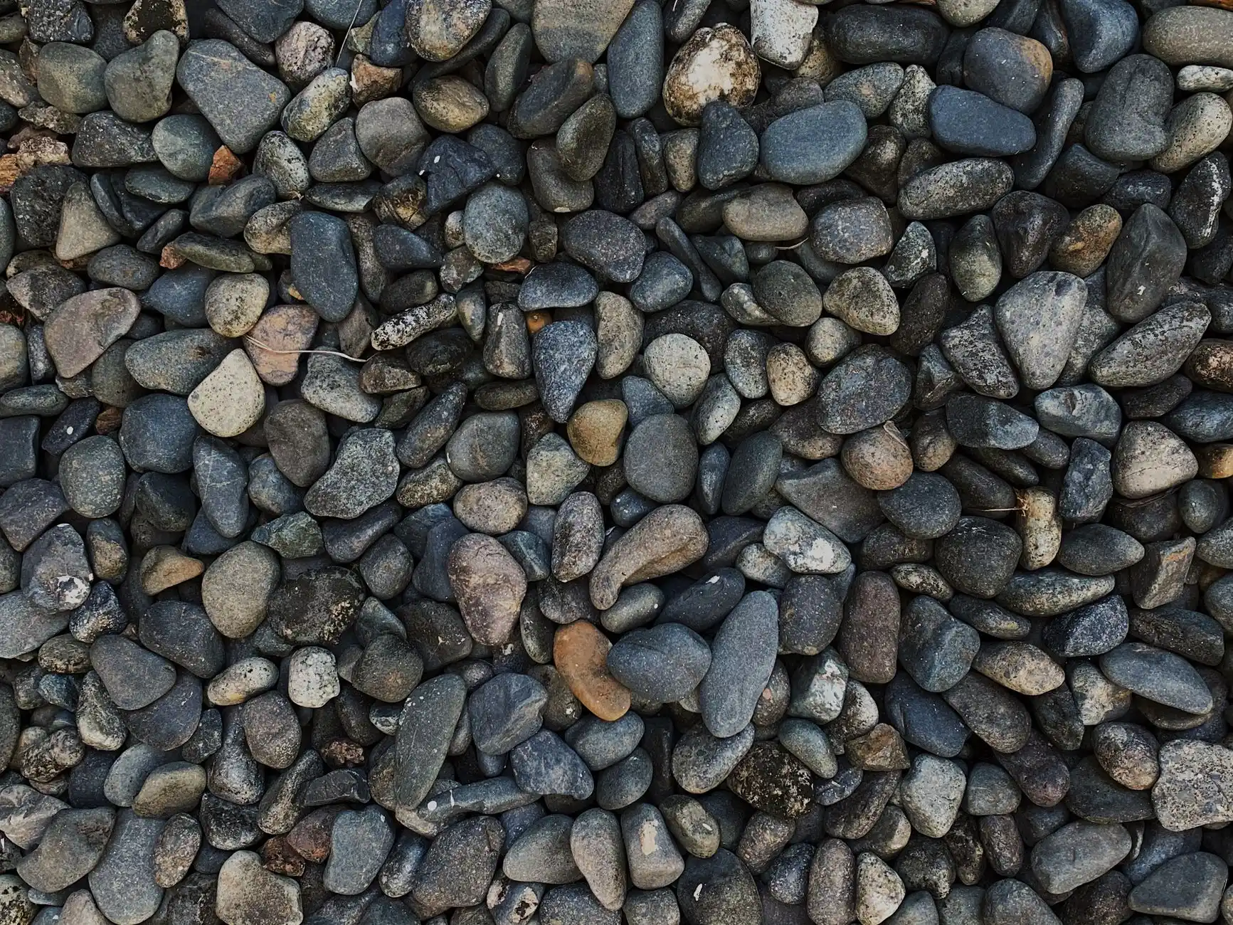 Close-up of rounded tan and gray pea gravel stones