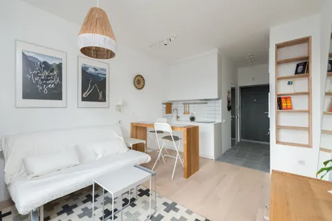A small open-concept apartment where the kitchen and living room share one bright room with a shared color palette