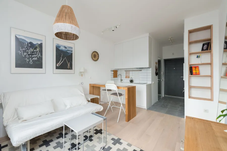 A small open-concept apartment where the kitchen and living room share one bright room with a shared color palette