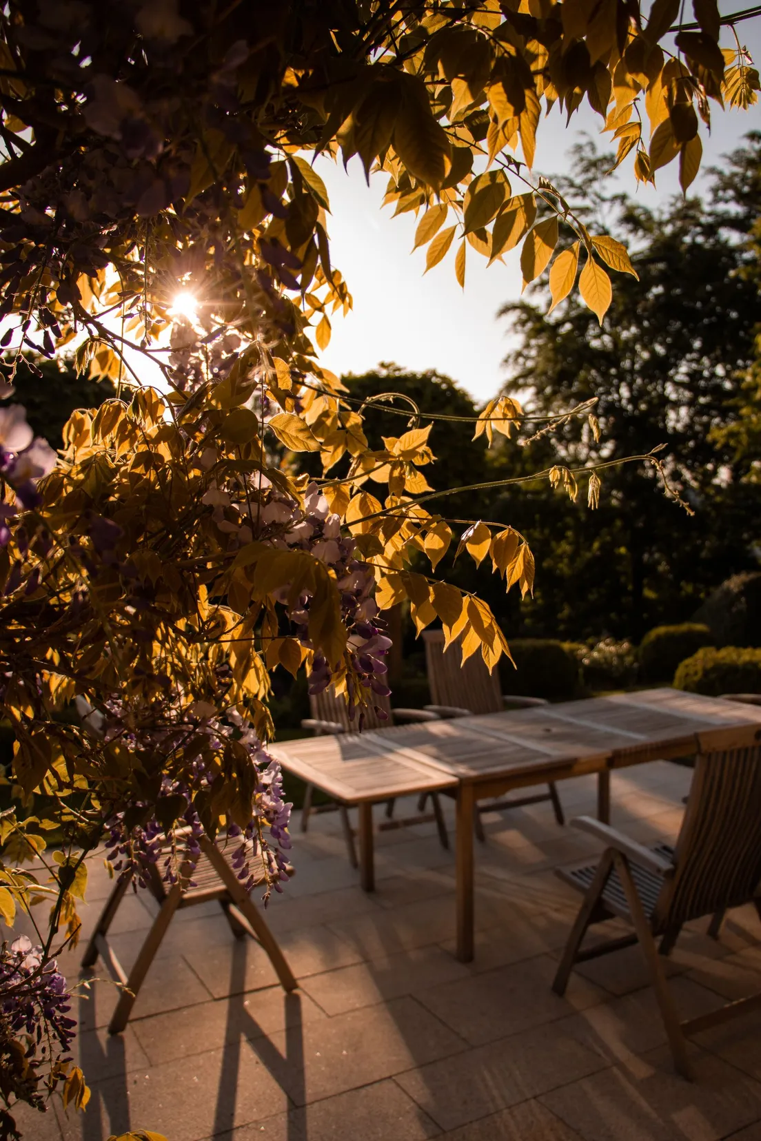 A wooden patio table and chairs in golden evening light with wisteria overhead