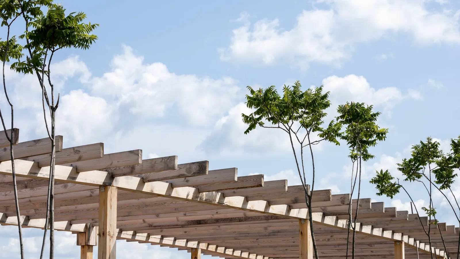 Wooden pergola beams over a backyard patio providing shade for a bbq area