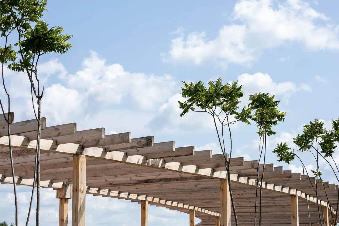 Wooden pergola beams over a backyard patio providing shade for a bbq area