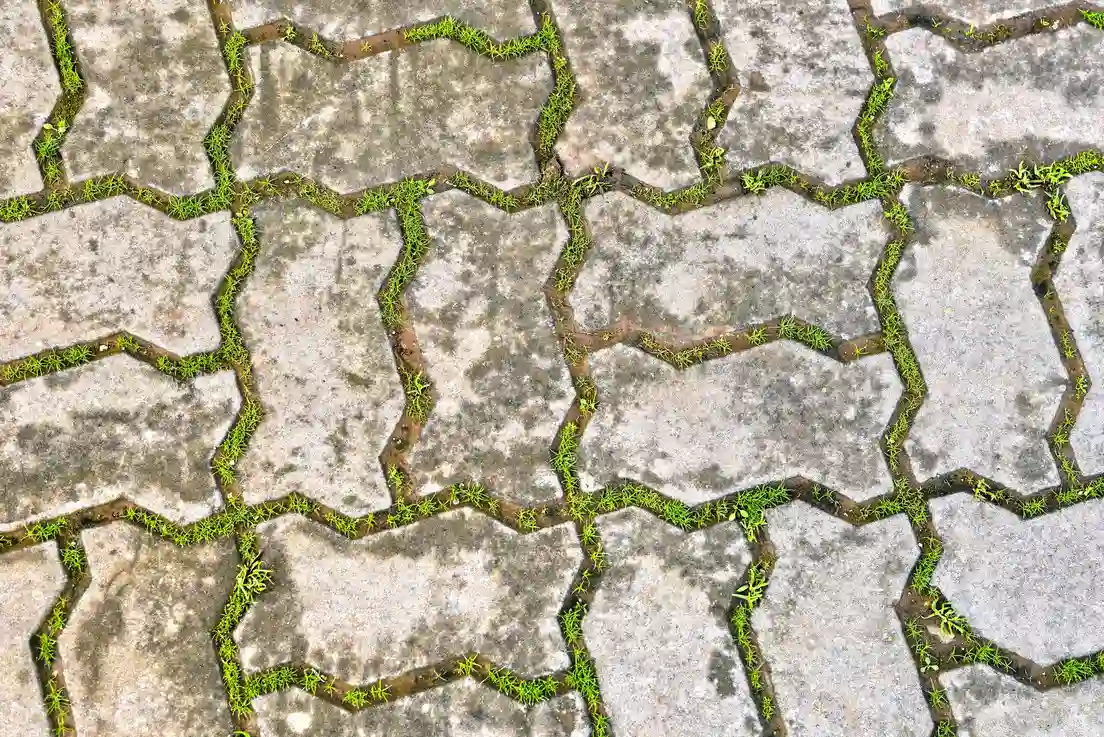 Close-up of permeable interlocking pavers with grass growing between the joints