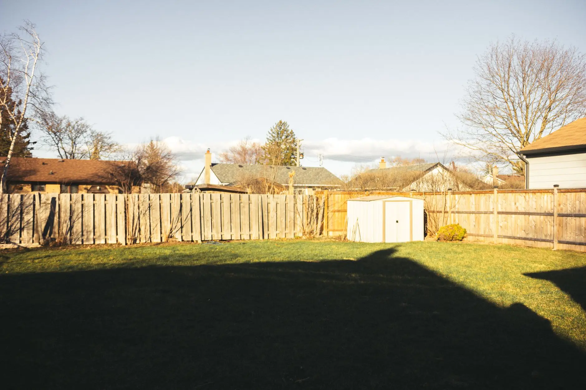 A plain suburban backyard with a wood fence and patchy lawn before a no-grass makeover