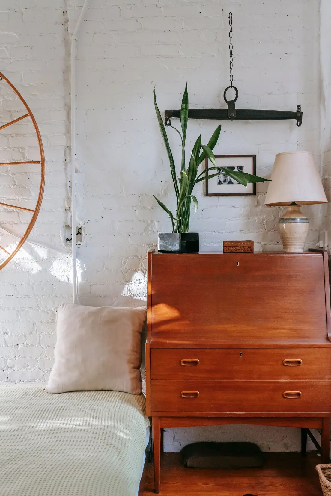 A snake plant on a vintage wood cabinet beside a table lamp