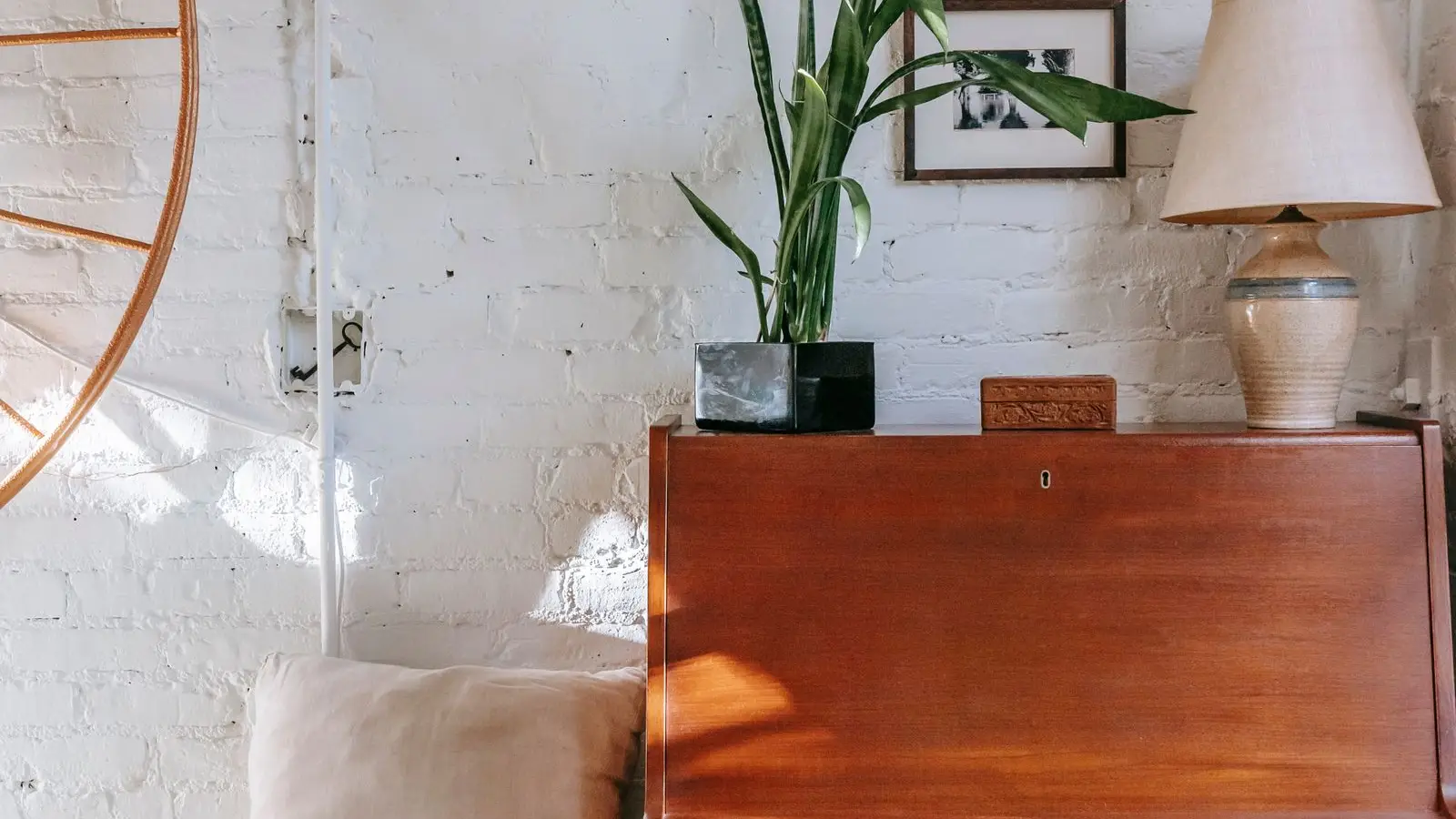 A snake plant on a vintage wood cabinet beside a table lamp