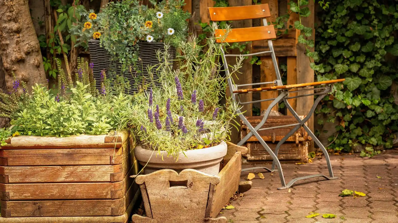 Wooden planter boxes of lavender and herbs screening a paved backyard corner with a folding chair
