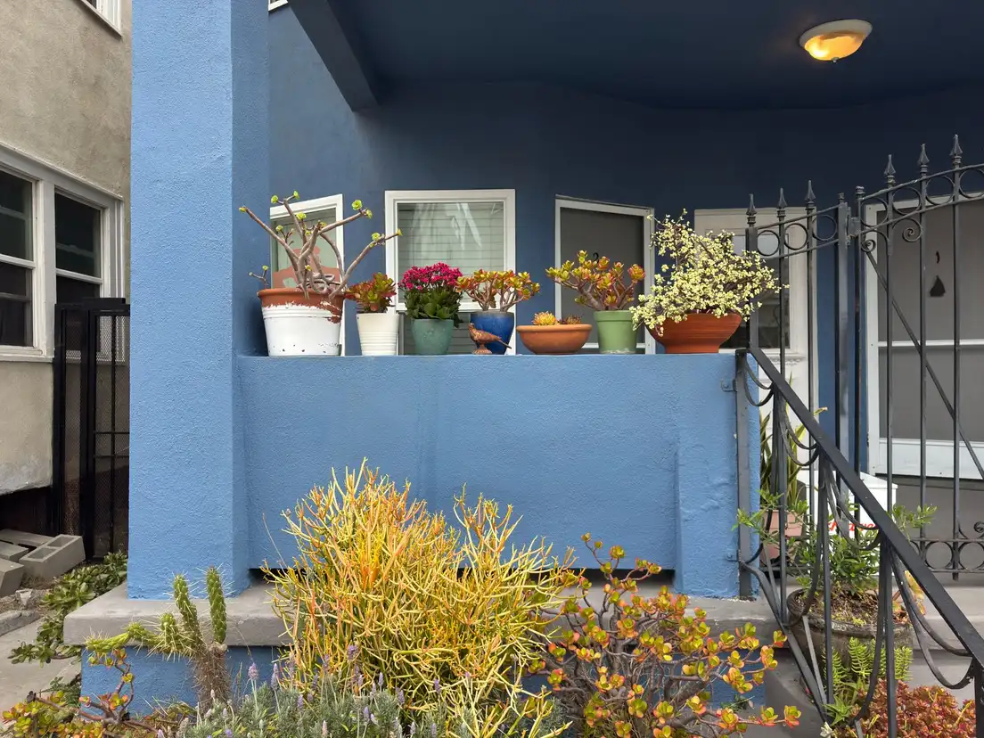A pair of full potted planters lining a blue front porch railing