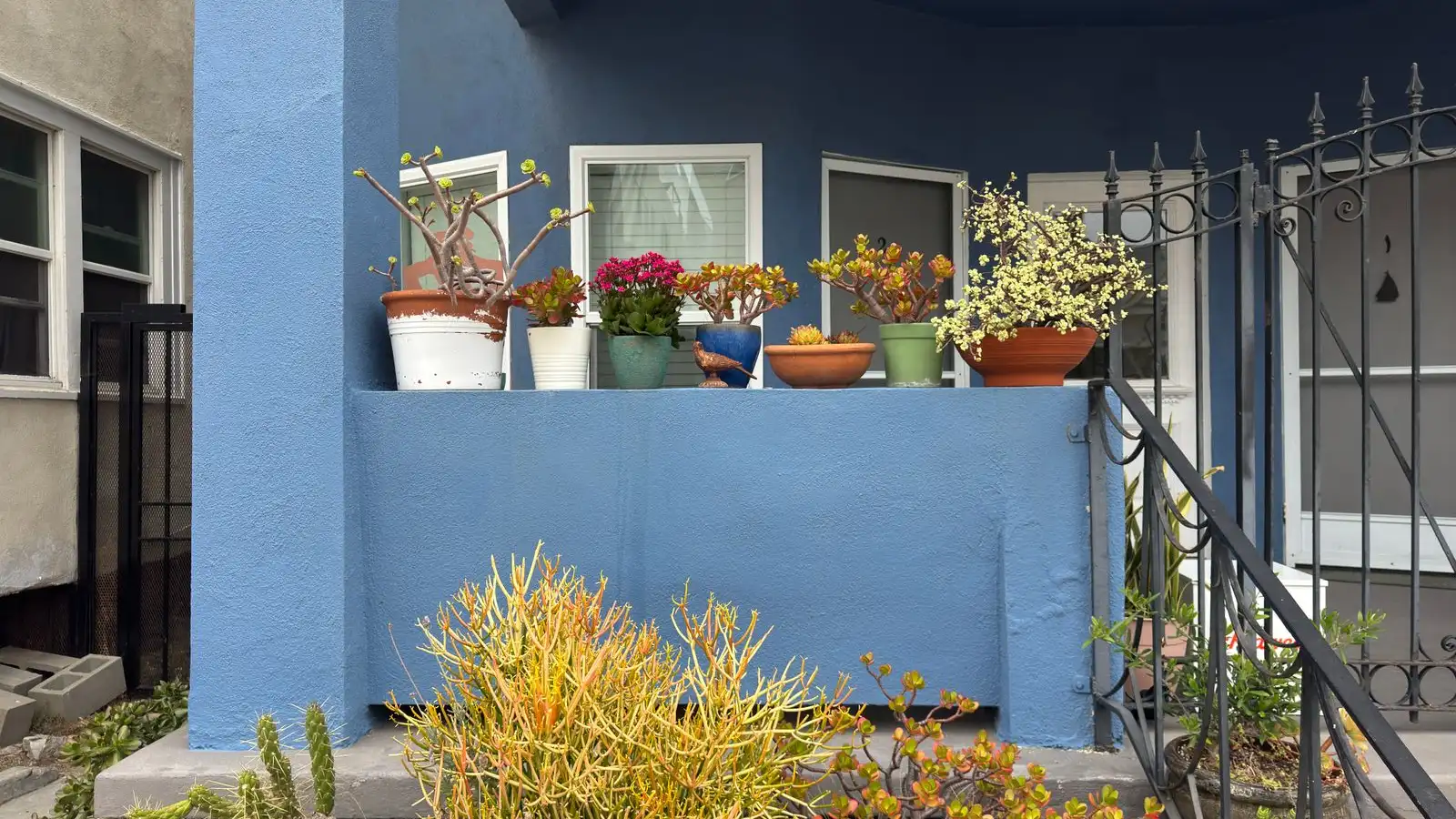 A pair of full potted planters lining a blue front porch railing