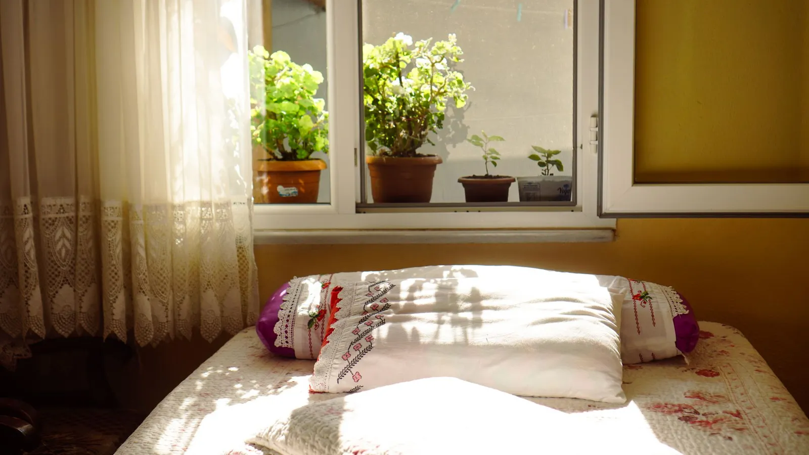 A sunlit bedroom windowsill with potted plants beside sheer curtains
