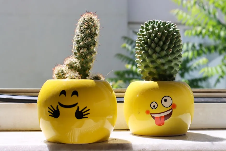 Two smiley-face ceramic planter pots with cactus plants on a sunny windowsill
