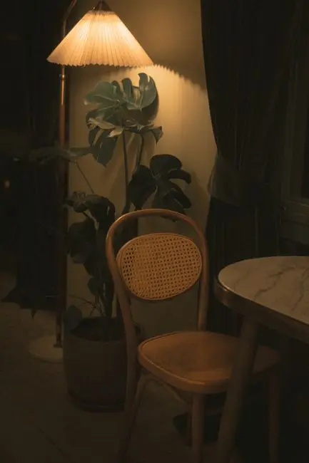 A rattan cane chair beside a warm-toned floor lamp and a plant, organic modern living room lighting idea