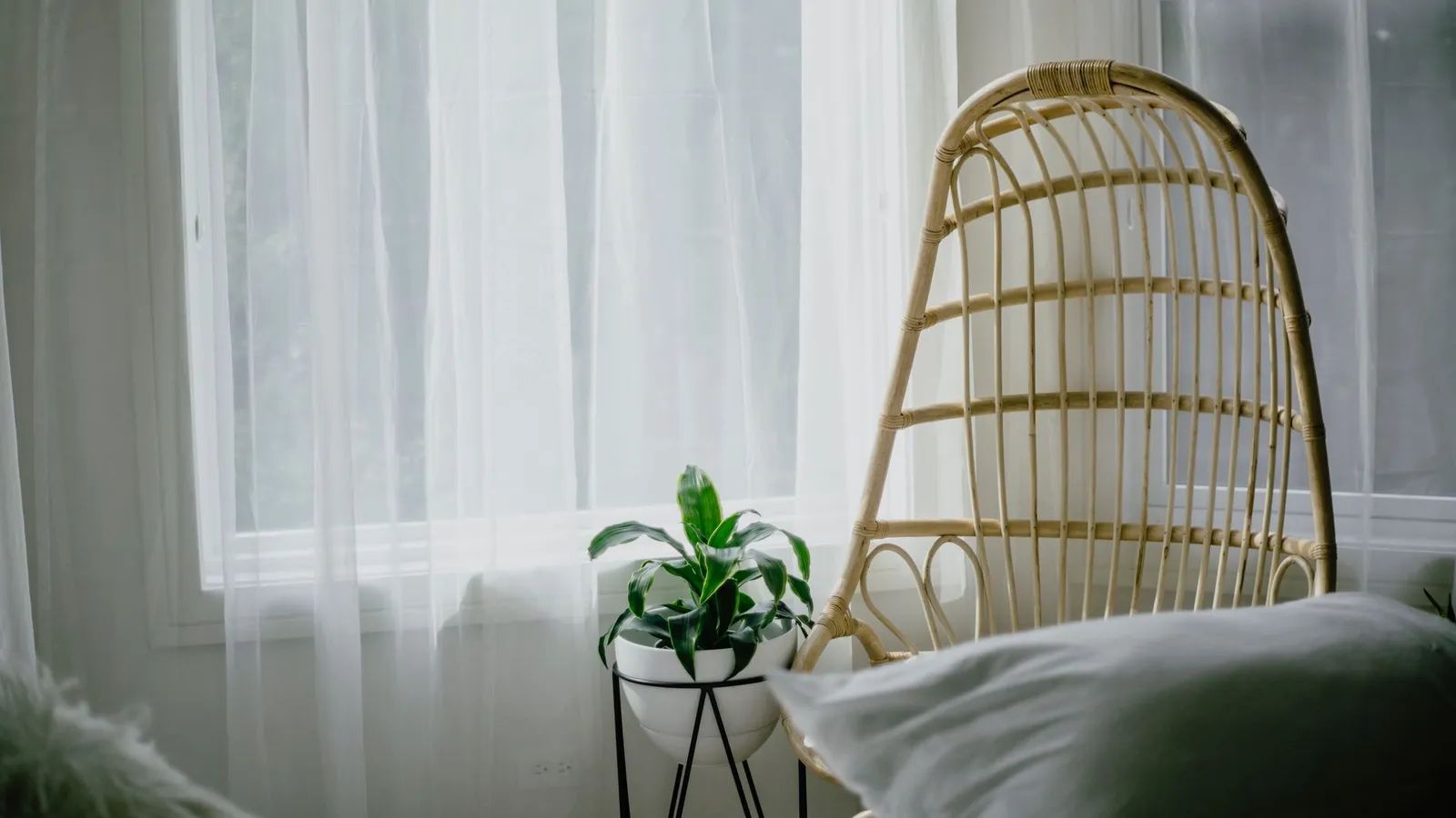 A rattan accent chair beside a sheer curtain and a potted plant in a bedroom corner