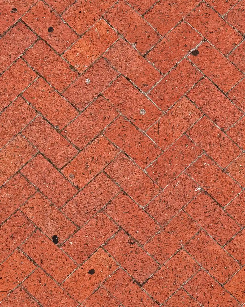 Reclaimed red brick pavers laid in a herringbone pattern
