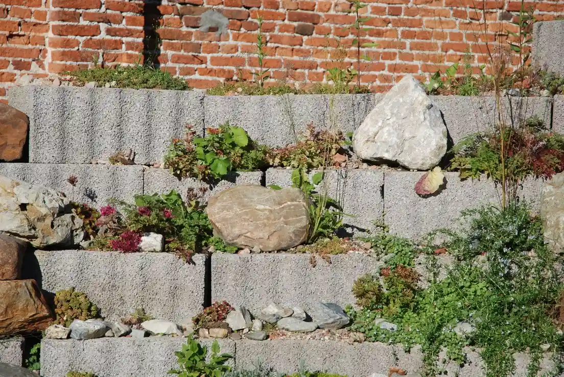 A tiered stone retaining wall with plants growing between the courses