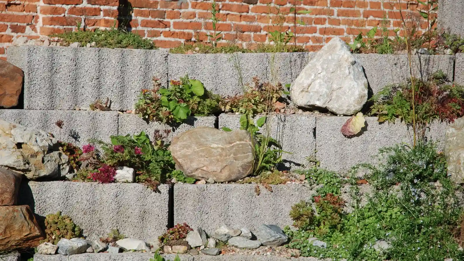 A tiered stone retaining wall with plants growing between the courses