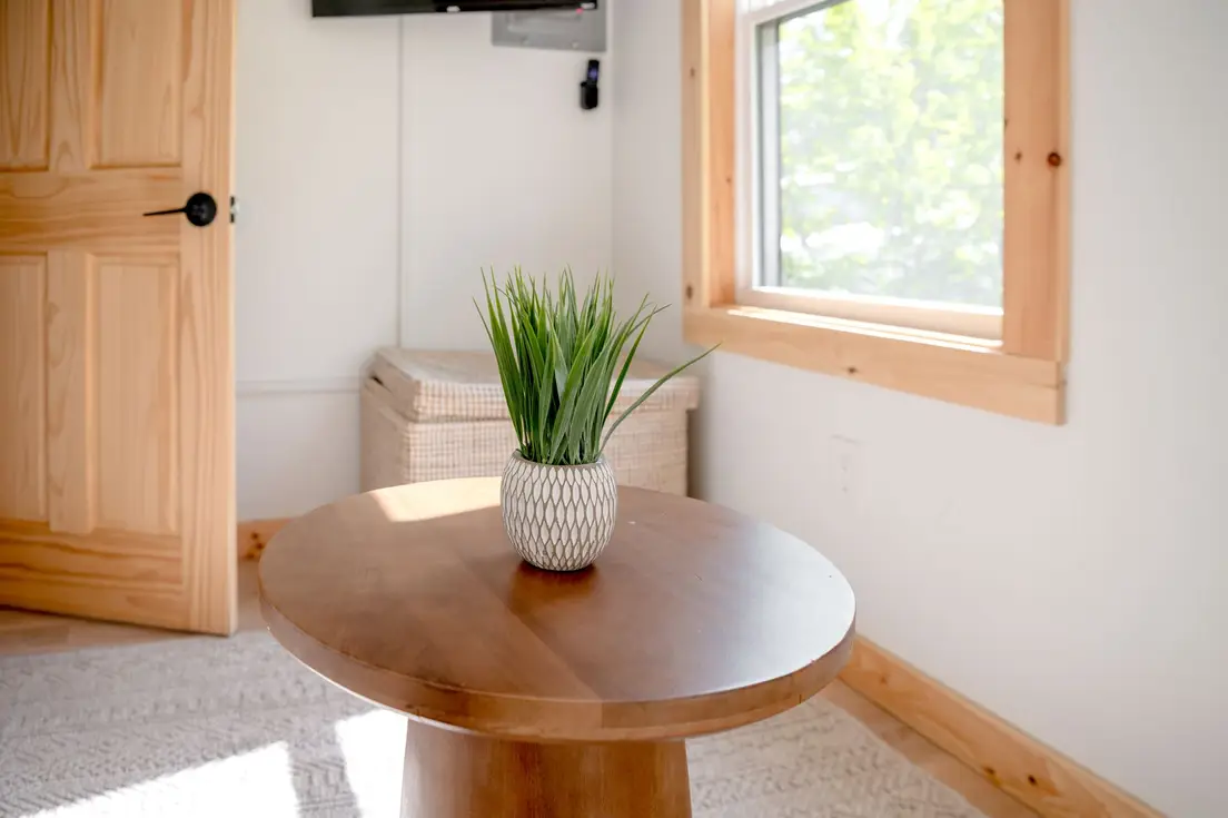 A potted plant on a round wood pedestal table in a sunny room with a pine window frame