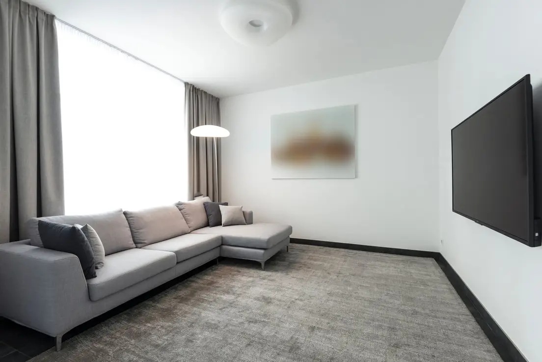 A gray minimalist living room with a neutral area rug anchoring a sectional sofa and TV wall