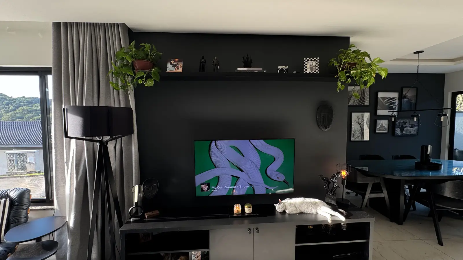 A wall-mounted TV on a black accent wall with a floating shelf above it holding plants and decor