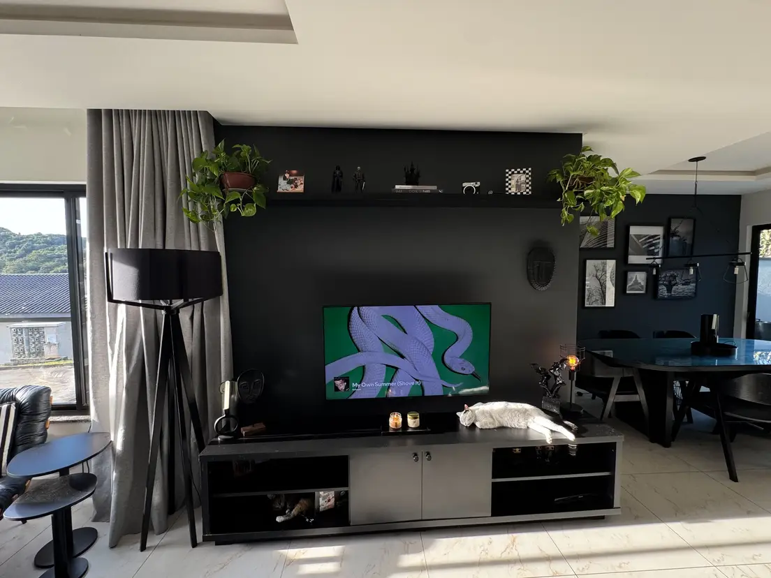 A wall-mounted TV on a black accent wall with a floating shelf above it holding plants and decor
