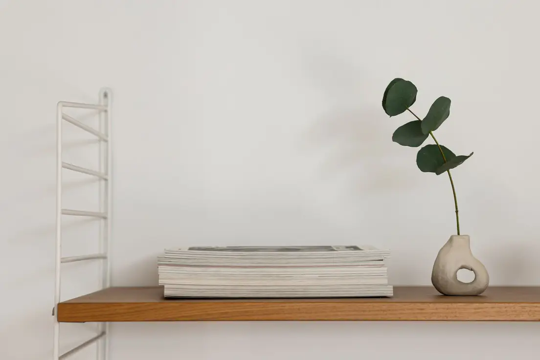 A single handmade sculptural ceramic vase with a eucalyptus stem on a wood wall shelf, organic modern decor