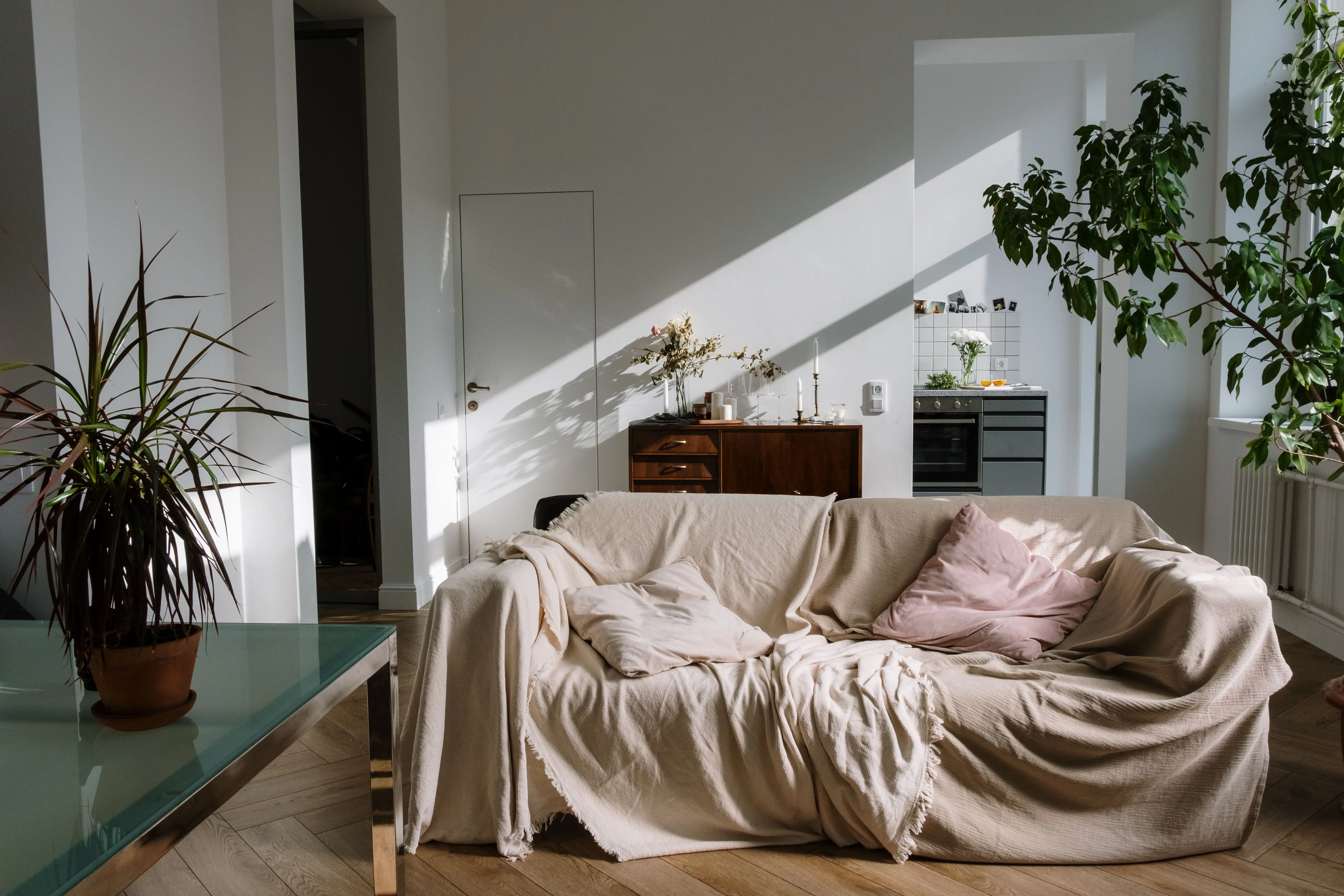A sunlit low sofa with a beige throw in a Japandi living room with natural light