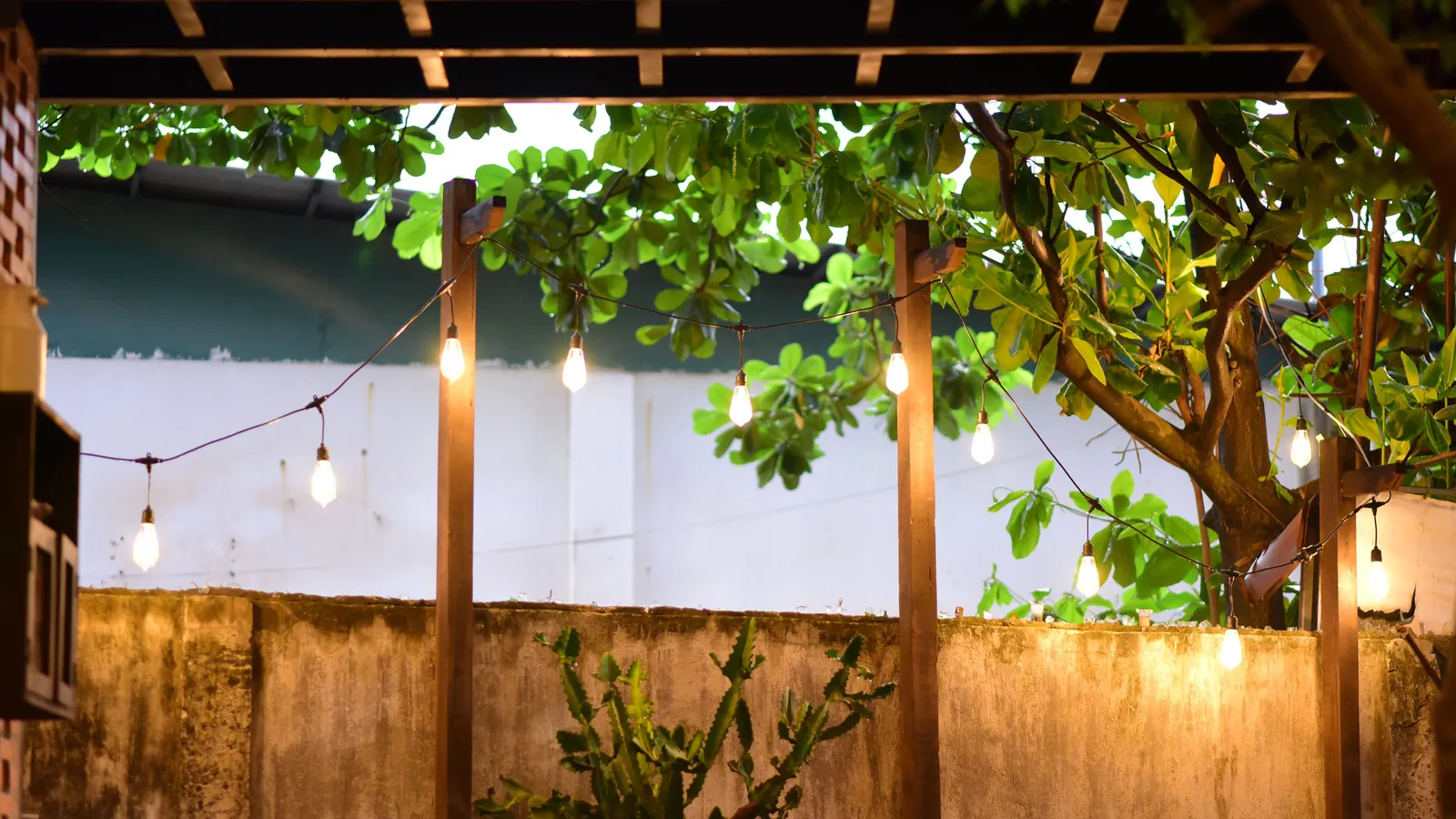Warm string lights strung across a backyard patio for a party