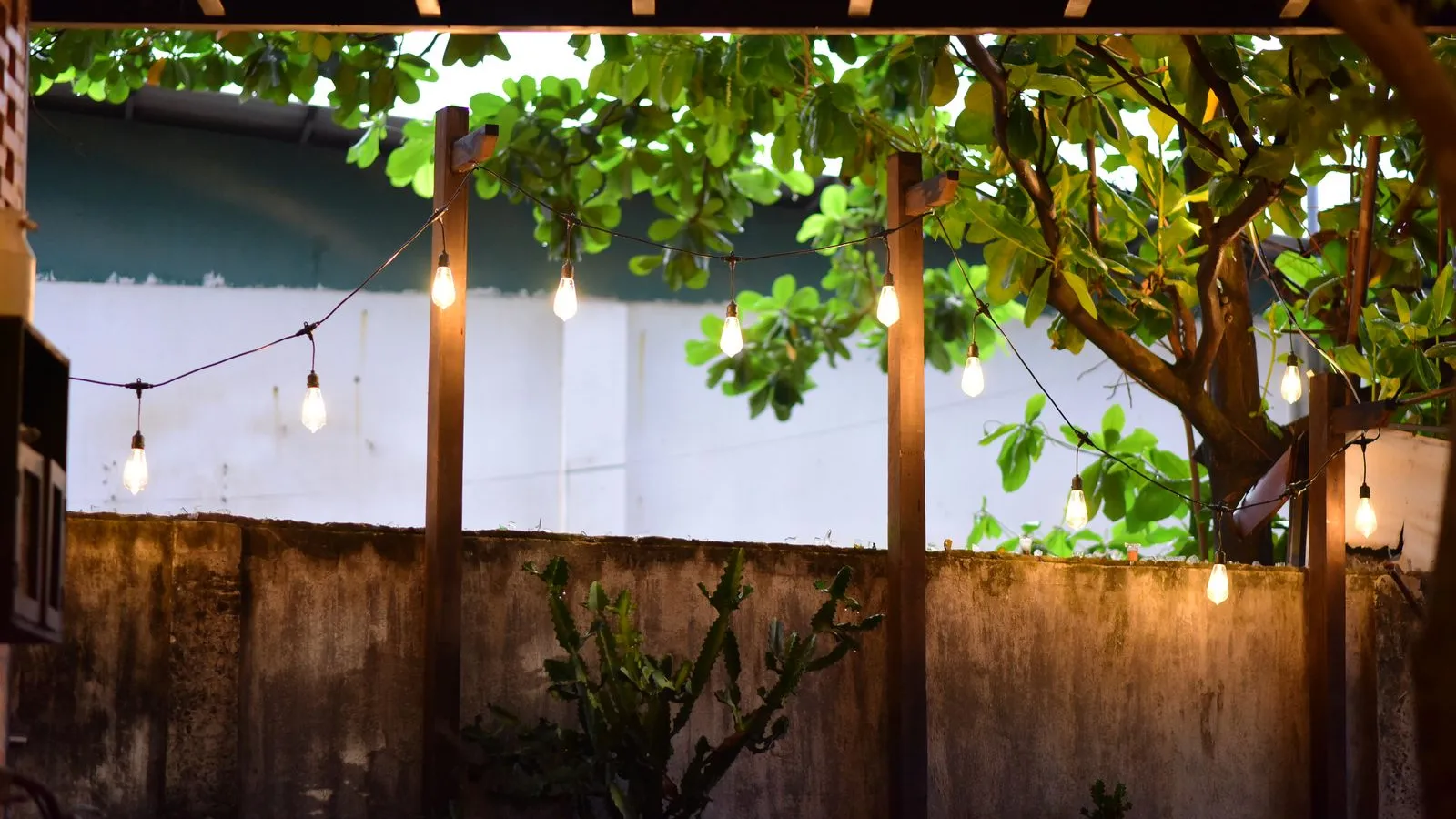 Warm string lights hanging over a small backyard patio with a concrete wall and cactus