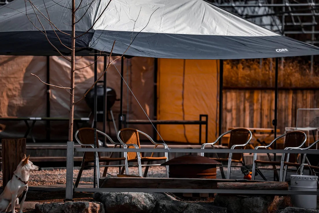 A casual pop-up canopy tent set up over patio seating in a backyard