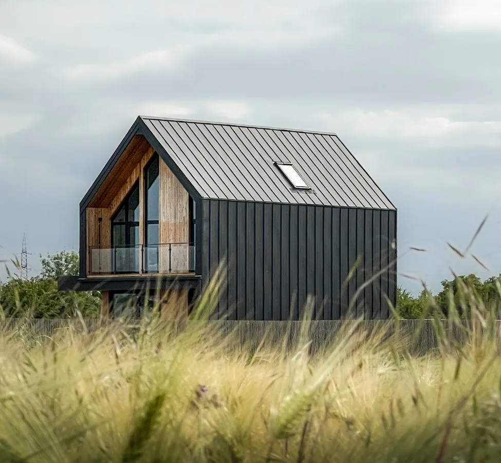 A modern house exterior with vertical dark metal siding as a bold accent against the roofline