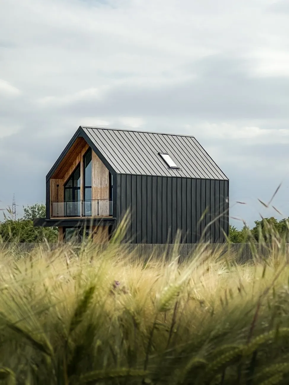 A modern house exterior with vertical dark metal siding as a bold accent against the roofline
