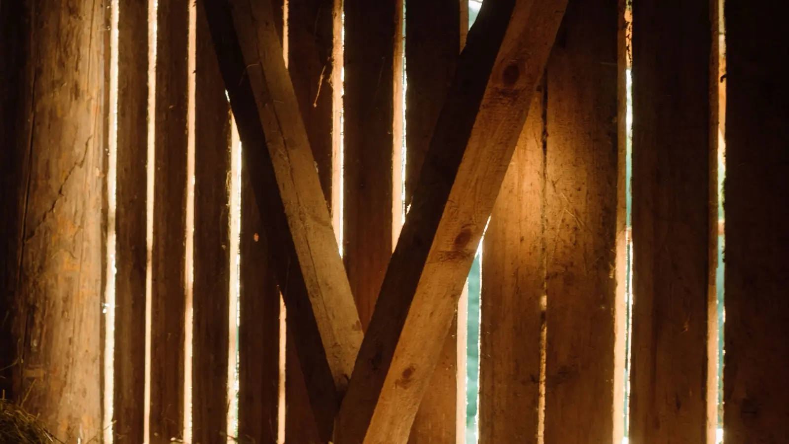 Close-up of raw, sunlit wooden barn beams, representing the rustic end of the farmhouse style spectrum