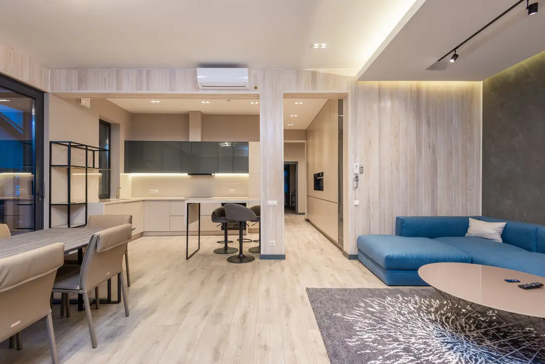 A small apartment interior with an open kitchen and living room zoned apart by furniture and a rug
