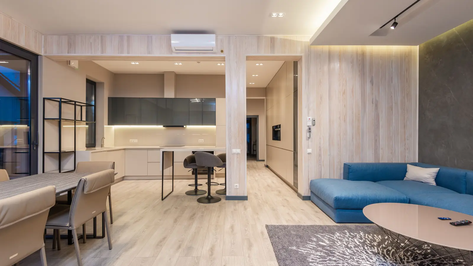A small apartment interior with an open kitchen and living room zoned apart by furniture and a rug
